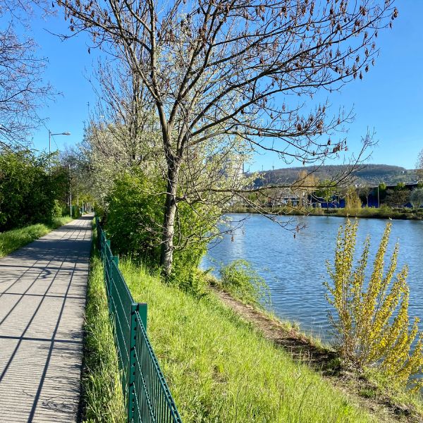 Spazierweg am Neckar in Stuttgart mit Bäumen und Flussblick. Ein ruhiger Ort für Begegnungen und gut geeignet für die Partnersuche in Stuttgart.