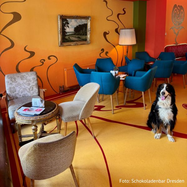 Die Schokoladenbar in Dresden eignet sich perfekt für ein Café Date in Dresden